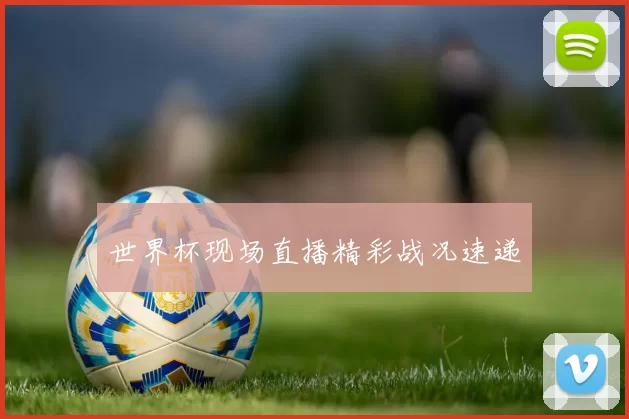 世界杯现场直播精彩战况速递