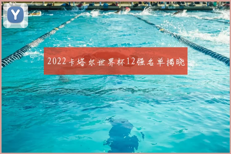 2022卡塔尔世界杯12强名单揭晓