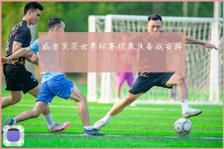 威尔莫茨世界杯赛程聚焦备战安排