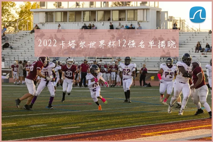 2022卡塔尔世界杯12强名单揭晓