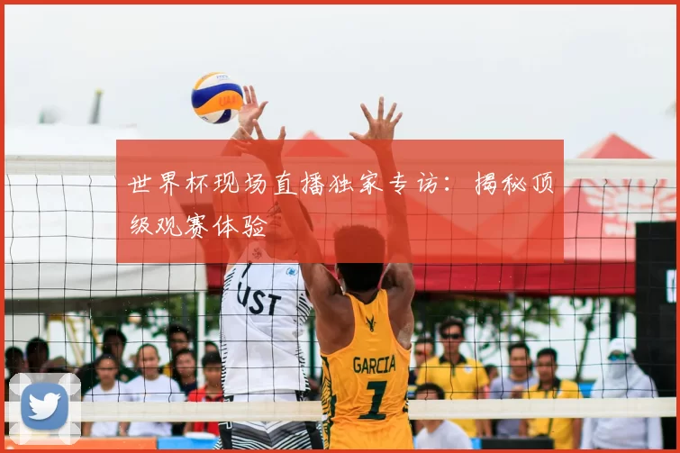 世界杯现场直播独家专访：揭秘顶级观赛体验