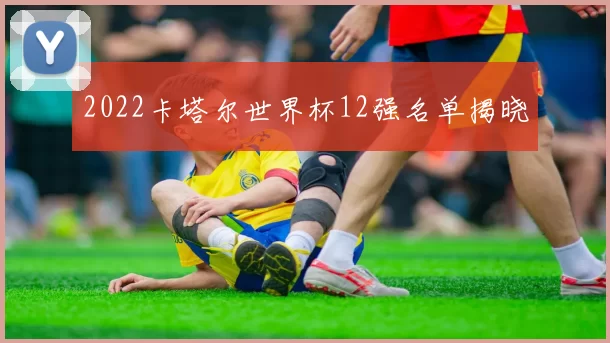 2022卡塔尔世界杯12强名单揭晓