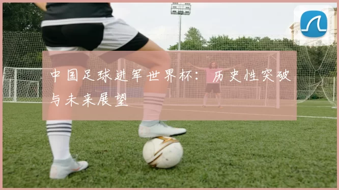 中国足球进军世界杯:历史性突破与未来展望